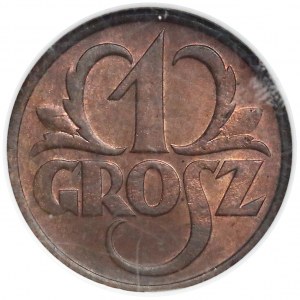 1 grosz 1930 - NGC MS63 BN