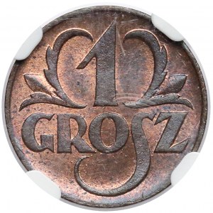 1 grosz 1923 - NGC MS64 RB