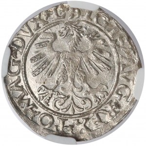 Zygmunt II August, Półgrosz Wilno 1560 - piękny