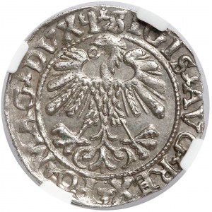 Zygmunt II August, Półgrosz Wilno 1559 