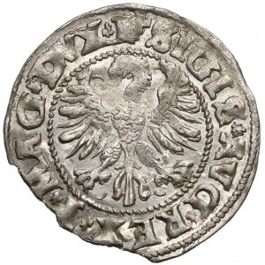 Zygmunt II August, Półgrosz Wilno 1546 - typ 1 - błąd MGNI