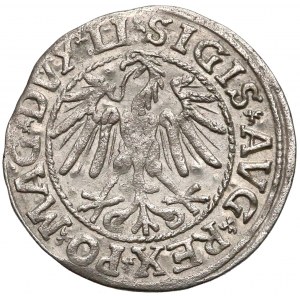 Zygmunt II August, Półgrosz Wilno 1546 - typ 7