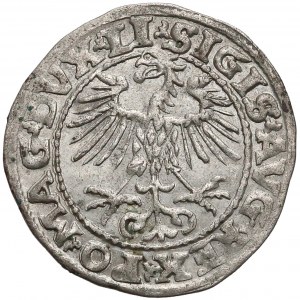 Zygmunt II August, Półgrosz Wilno 1552 - rzadszy 