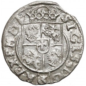 Zygmunt III Waza, Półtorak 1619 Bydgoszcz - bez interp.