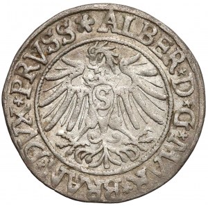Albrecht Hohenzollern, Grosz Królewiec 1537