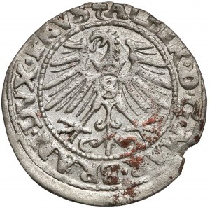 Albrecht Hohenzollern, Grosz Królewiec 1548 - rzadki