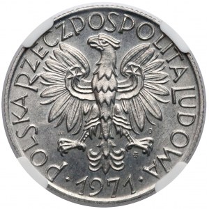 5 złotych 1971 Rybak - NGC MS66