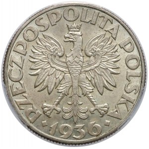 Żaglowiec 5 złotych 1936 - PCGS MS63