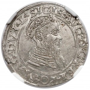 Zygmunt II August, Czworak Wilno 1566 