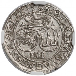 Zygmunt II August, Czworak Wilno 1566 