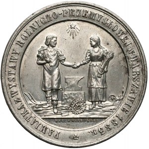 1885r. Medal Wystawa Rolniczo-Przemysłowa w Warszawie (Witkowski)