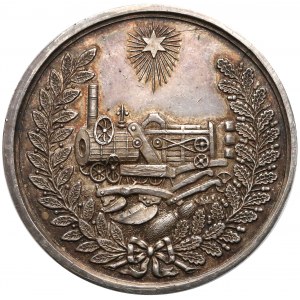 Medal Towarzystwo Skoczkowe Wilno, XIX w.