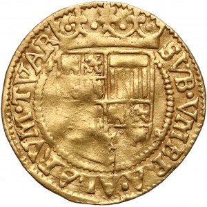 Niderlandy, Kampen, Ferdynand i Izabella (1476-1516) Dukat bez daty - litera C - rzadki