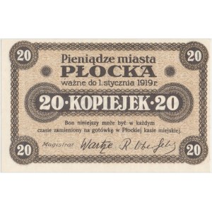 Płock, 20 kopiejek 1919
