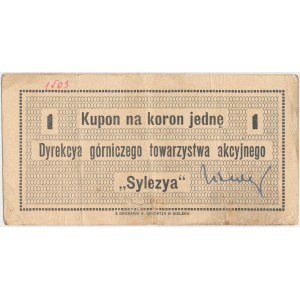 Bielsko, Tow. Górnicze SYLEZYA, 1 korona (1919)