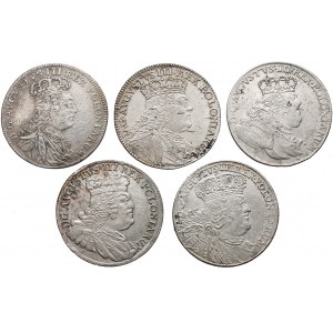 August III Sas, zestaw Tymf i 4x Ort 1753-1756 (5szt)