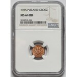 1 grosz 1925 - NGC MS64 RD