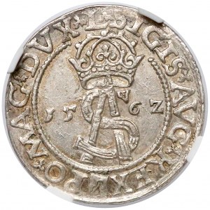 Zygmunt II August, Trojak Wilno 1562 - Pogoń w tarczy