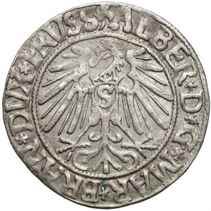 Albrecht Hohenzollern, Grosz Królewiec 1543