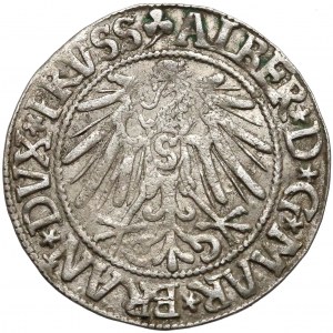 Albrecht Hohenzollern, Grosz Królewiec 1545
