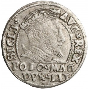 Zygmunt II August, Grosz na stopę polską 1546 - data w otoku - rzadki