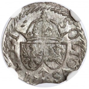 Zygmunt III Waza, Szeląg Wilno 1614 - proste tarcze - bez L