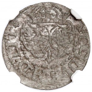 Zygmunt III Waza, Szeląg Wilno 1618 - Bogoria