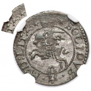 Zygmunt III Waza, Szeląg Wilno 1623 - skrócona data - rzadka