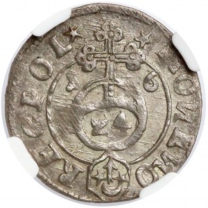 Zygmunt III Waza, Półtorak 1616 Bydgoszcz - Sas w tarczy