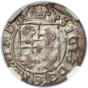 Zygmunt III Waza, Półtorak 1616 Bydgoszcz - Awdaniec 