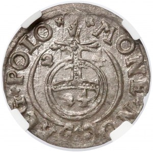 Zygmunt III Waza, Półtorak 1624 Bydgoszcz - krzyżyki