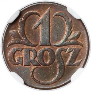 1 grosz 1923 - NGC MS65 RB