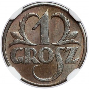 1 grosz 1931 - NGC MS66 BN