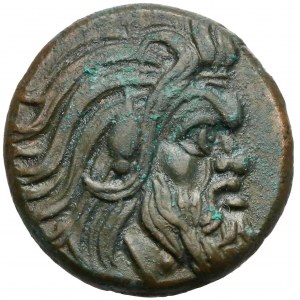 Greek coins, Panticapaeum, AE20 (310-303 BC)