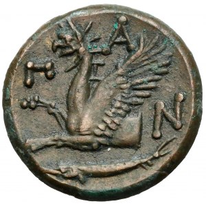 Greek coins, Panticapaeum, AE20 (310-303 BC)