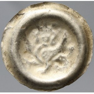 Přemysl Otakar II. (1253-78), Brakteát střední (28,5 mm, 0,56 g). Cach-850