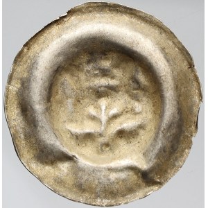 Václav II. (1278-1305), Brakteát střední (28 mm, 1,02 g). Cach-852. lehce pomačkaný