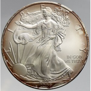 USA, 1 dollar 2009 Liberty (1 OZ). KM-273. začínající patina