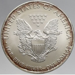 USA, 1 dollar 2009 Liberty (1 OZ). KM-273. začínající patina