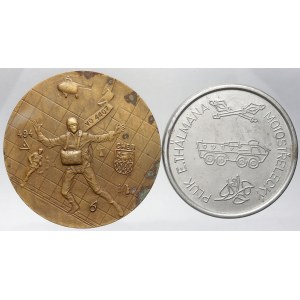 Cheb, Medaile VÚ 4407 v Chebu, bronz (skvrny). Motostřelecký pluk E. Thälmana (skrvny)