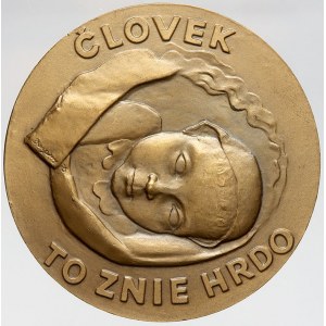 evropské medaile, Slovensko. Žiar nad Hronom - moje rodisko. Nesign. Bronz 60 mm