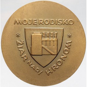 evropské medaile, Slovensko. Žiar nad Hronom - moje rodisko. Nesign. Bronz 60 mm