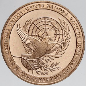 evropské medaile, OSN. Mírová medaile 1975. Bronz 38,5 mm. n. hr.