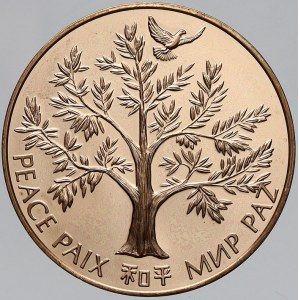 evropské medaile, OSN. Mírová medaile 1975. Bronz 38,5 mm. n. hr.