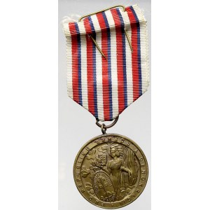 ČSR - ČSSR - ČSFR, Pamětní medaile manifestačního sjezdu dobrovolců let 1918-1919