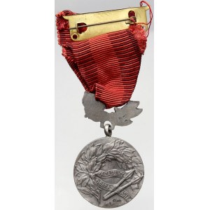 ČSR - ČSSR - ČSFR, Medaile Za zásluhy o obranu vlasti. Ag (punc) 32 mm, stuha