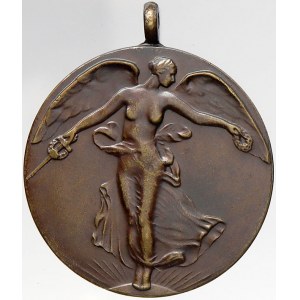 Belgie, Mezispojenecká medaile Za civilizaci. Bronz, bez stuhy