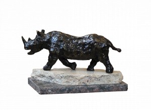 Dominik ALBIŃSKI (1975), Small Rhino