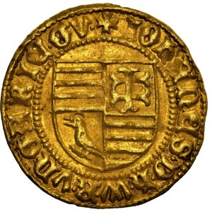 Hungary - Johann Hunyadi Goldgulden (1446-1447) Neustadt