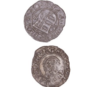 House of Habsburg - Ferdinand II (1619-1637) Denar Pair